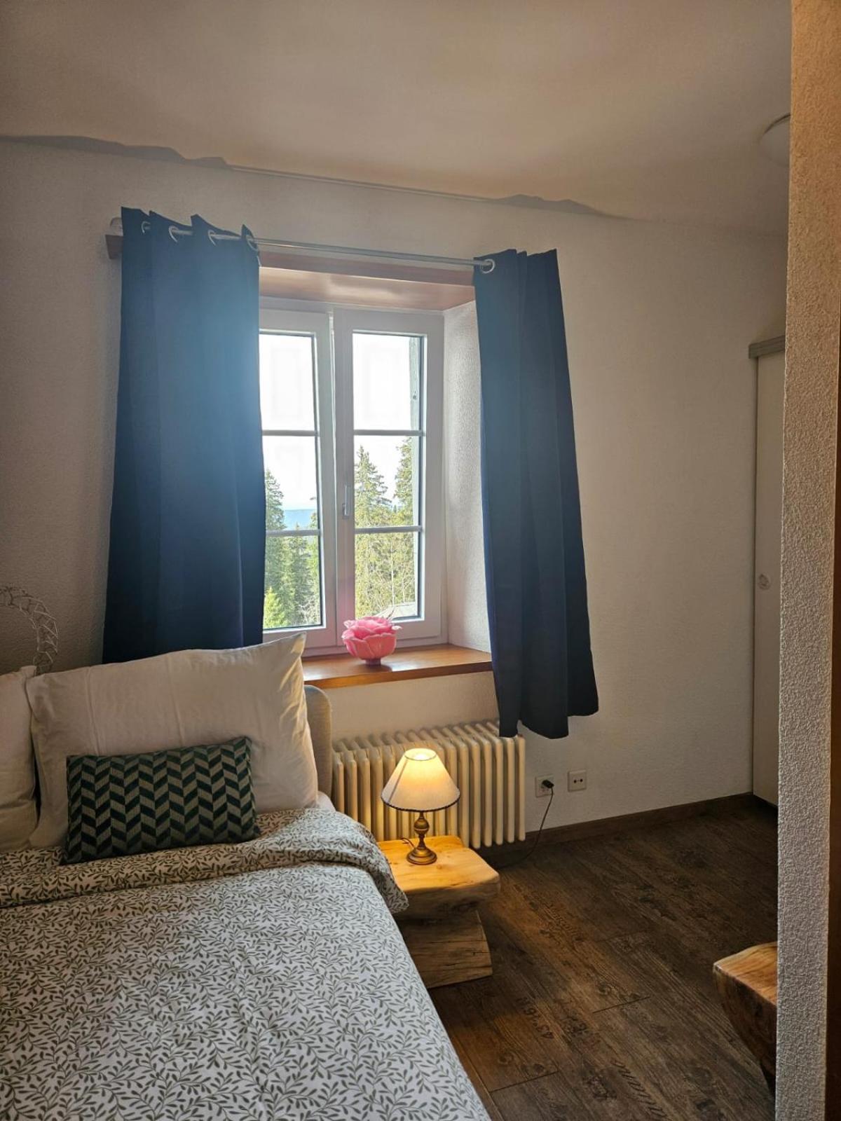 Hotel Restaurant Du Marchairuz Le Brassus Екстериор снимка