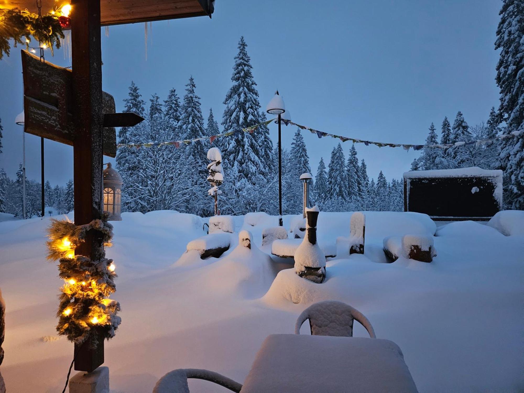 Hotel Restaurant Du Marchairuz Le Brassus Екстериор снимка